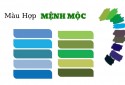 Mệnh Mộc hợp màu gì, kỵ màu gì? Cách chọn màu tương sinh, tương hợp